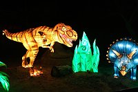 Peter Blei in den magischen Lichterwelten Bild: Peter Blei in den magischen Lichterwelten