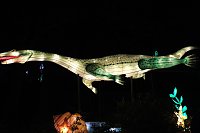Peter Blei in den magischen Lichterwelten Bild: Peter Blei in den magischen Lichterwelten