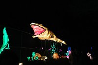 Peter Blei in den magischen Lichterwelten Bild: Peter Blei in den magischen Lichterwelten