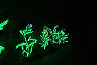 Peter Blei in den magischen Lichterwelten Bild: Peter Blei in den magischen Lichterwelten