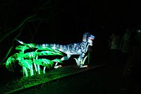 Peter Blei in den magischen Lichterwelten Bild: Peter Blei in den magischen Lichterwelten