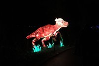 Peter Blei in den magischen Lichterwelten Bild: Peter Blei in den magischen Lichterwelten