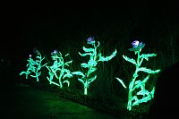 Peter Blei in den magischen Lichterwelten Bild: Peter Blei in den magischen Lichterwelten