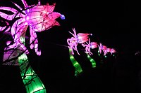 Peter Blei in den magischen Lichterwelten Bild: Peter Blei in den magischen Lichterwelten
