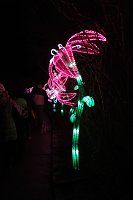 Peter Blei in den magischen Lichterwelten Bild: Peter Blei in den magischen Lichterwelten