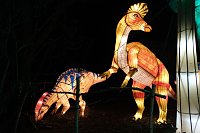 Peter Blei in den magischen Lichterwelten Bild: Peter Blei in den magischen Lichterwelten