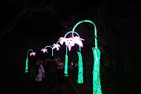 Peter Blei in den magischen Lichterwelten Bild: Peter Blei in den magischen Lichterwelten