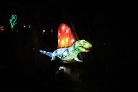 Peter Blei in den magischen Lichterwelten Bild: Peter Blei in den magischen Lichterwelten