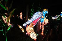 Peter Blei in den magischen Lichterwelten Bild: Peter Blei in den magischen Lichterwelten