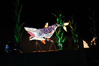 Peter Blei in den magischen Lichterwelten Bild: Peter Blei in den magischen Lichterwelten