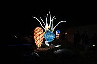 Peter Blei in den magischen Lichterwelten Bild: Peter Blei in den magischen Lichterwelten