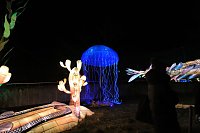 Peter Blei in den magischen Lichterwelten Bild: Peter Blei in den magischen Lichterwelten