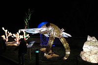 Peter Blei in den magischen Lichterwelten Bild: Peter Blei in den magischen Lichterwelten