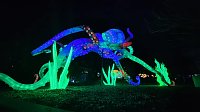 Peter Blei in den magischen Lichterwelten Bild: Peter Blei in den magischen Lichterwelten