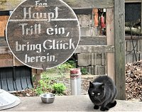 Saison eröffnet Bild: Saison eröffnet
