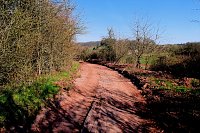 Bild: Osterspaziergang im Vorharz