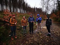 Bild: Jour Fixe im Nationalpark mit Sara Wegrzyk