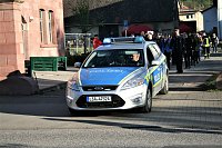 Bild: Maibaum in Kelbra gesetzt