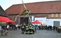 Bild: Maibaum in Kelbra gesetzt
