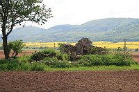 Bild: Die W&uuml;stung Lindenschu