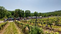 Bild: Unterwegs auf der Saale-Weinmeile
