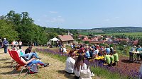 Bild: Unterwegs auf der Saale-Weinmeile