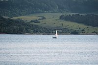 Bild: Am Stausee in Kelbra