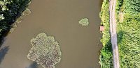 Bild: Die Wunder der Natur eingefangen von der Kamera