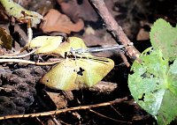 Bild: Die Wunder der Natur eingefangen von der Kamera