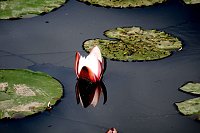 Bild: Die Wunder der Natur eingefangen von der Kamera