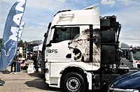 Bild: Schnappsch&uuml;sse vom Truckertreffen in Allstedt