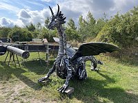 Bild: Drachen-Alarm am Sundh&auml;user Kiesteich