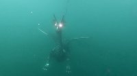 Bild: Drachen-Alarm am Sundh&auml;user Kiesteich