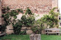 Bild: Peter Blei unterwegs im Kloster G&ouml;llingen