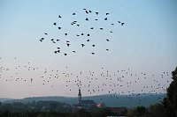 Bild: Peter Blei unterwegs im Vogelparadies