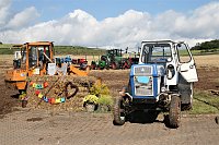 Bild: Trecker-Treffen in Badra