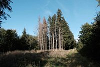 In Rothesütte und am Stausee Kelbra Bild: In Rothesütte und am Stausee Kelbra