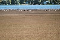 Bild: Neuer Aussichtsturm am Stausee Kelbra