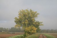 Herbst in der Goldenen Aue Bild: Herbst in der Goldenen Aue