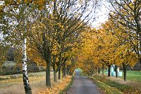 Herbst in der Goldenen Aue Bild: Herbst in der Goldenen Aue