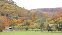 Herbst in der Goldenen Aue Bild: Herbst in der Goldenen Aue