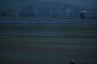 Bild: Peter Blei unterwegs am Stausee Kelbra