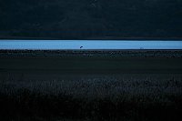 Bild: Peter Blei unterwegs am Stausee Kelbra