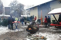 Weihnachtsbäume zum Advent in Kelbra Bild: Weihnachtsbäume zum Advent in Kelbra