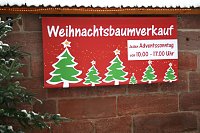 Weihnachtsbäume zum Advent in Kelbra Bild: Weihnachtsbäume zum Advent in Kelbra