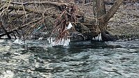 Bild: Winter an der Zorge