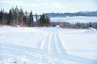 Bild: Wunderbare Winterlandschaft bei Benneckenstein