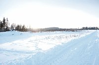 Bild: Wunderbare Winterlandschaft bei Benneckenstein