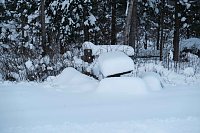 Bild: Wunderbare Winterlandschaft bei Benneckenstein