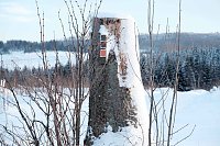 Bild: Wunderbare Winterlandschaft bei Benneckenstein